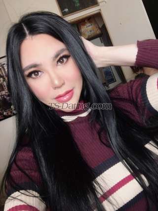 trans girl Chanelgoddes 7357209 trans girl Chanelgoddes 7357209
