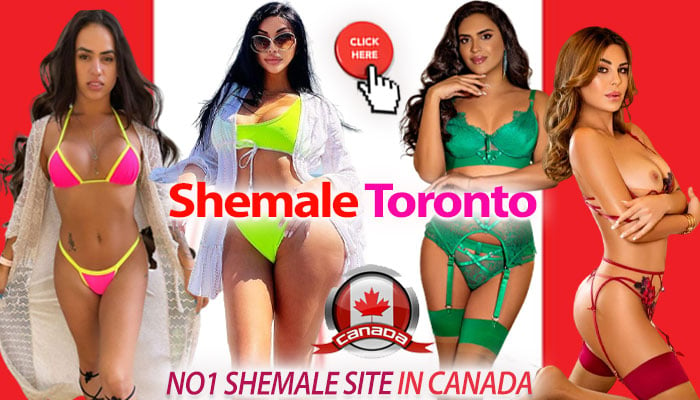 700px x 400px - Shemale Escorts in Toronto | TS-Dating.com